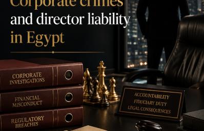 قاہرہ میں فوجداری وکیل: corporate crimes Egypt کے لیے عملی قانونی رہنما