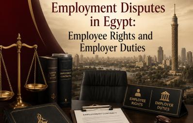 埃及劳动律师：labour case Egypt 实务指南